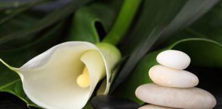 5 Most Popular SPA-Massages