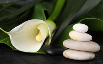 Embrace the Power of your Own Mind and Body: A Look at Integrative and Energy Solutions