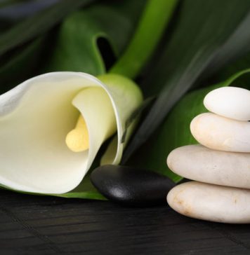 Top 10 Beauty Procedures of the Year 2013