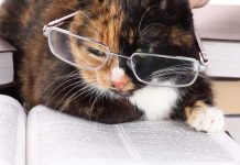 32 Tips of Nepali Wise Men