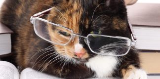 32 Tips of Nepali Wise Men