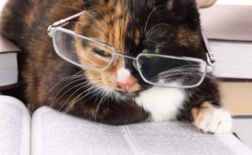 32 Tips of Nepali Wise Men