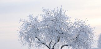 Most Dangerous Winter Weather