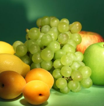 10 Most Popular Weight Loss Diets of 2013