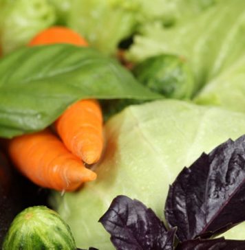 How to Get Rid of Belly Fat Forever?
