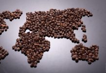 10 Things We Do Daily That Pollute the Earth