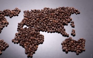 10 Things We Do Daily That Pollute the Earth