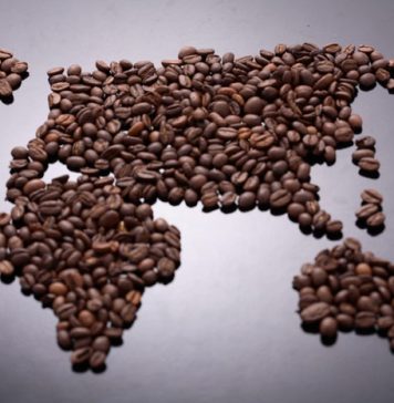 10 Things We Do Daily That Pollute the Earth