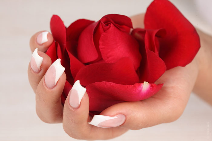 flower-beauty-manicure-nails-nail-art-french-manicure-rose-hand-woman-female