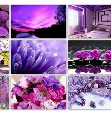 Radiant Orchid Is the Color of 2014