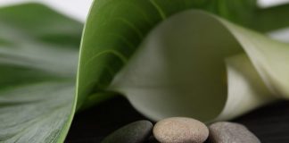 Top 10 Beauty Procedures