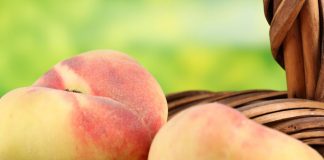 Beauty Diet for Skin Regeneration