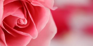 50 Signs Your Boyfriend Is Serious About You