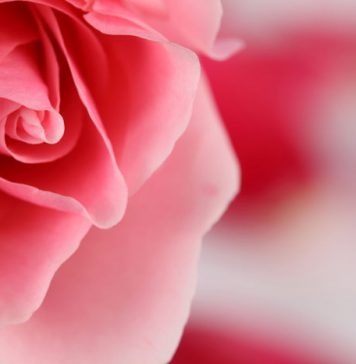 50 Signs Your Boyfriend Is Serious About You