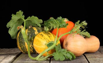 Quick Recovery Foods