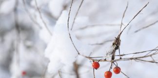 Winter Outfits: Stylish or Warm?