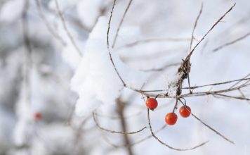 Winter Outfits: Stylish or Warm?