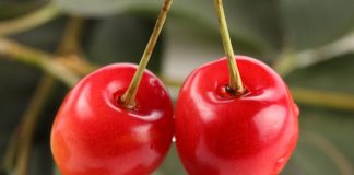 10 Ways to Look Beautiful in Spring berry