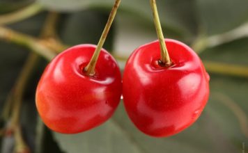 10 Ways to Look Beautiful in Spring berry