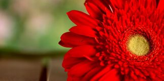 11 Small Steps to a Great Life Change