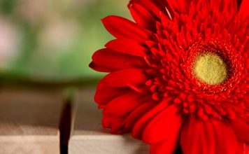 11 Small Steps to a Great Life Change