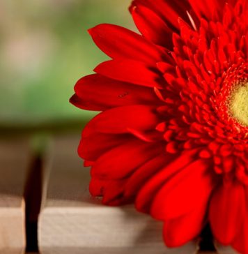 11 Small Steps to a Great Life Change