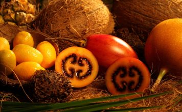 Best & Worst Diets for Longevity Revealed fruits, veggies