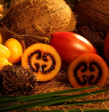 Best & Worst Diets for Longevity Revealed fruits, veggies