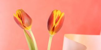 10 Ways How Love Changes You