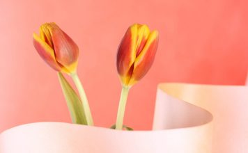 10 Ways How Love Changes You