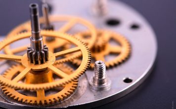 Daytime Impact on Brain Functions