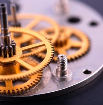 Daytime Impact on Brain Functions