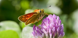 15 Things More Important Than Money