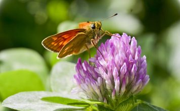 15 Things More Important Than Money