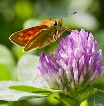 15 Things More Important Than Money