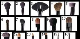 Makeup Brushes Guide