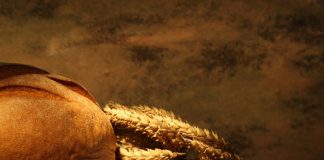 Gluten-Free Diet Leads to Weight Gain nutrition