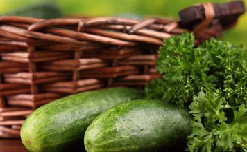 Vegetarians Have a Weaker Health