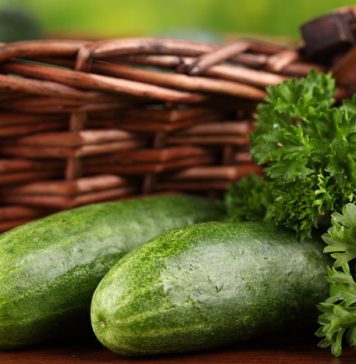 Vegetarians Have a Weaker Health