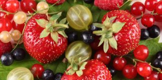 Healthy Snacks Between Meals