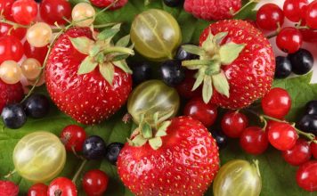 Healthy Snacks Between Meals