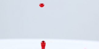 How to Replace Lost Blood?