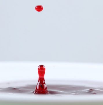 How to Replace Lost Blood?