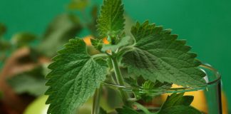 5 Foods Men Should Avoid