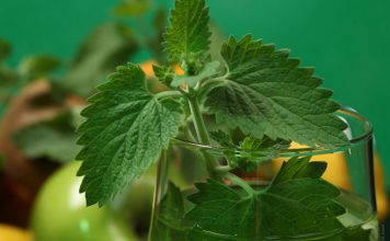 10 Healthiest Seasonal Foods of May