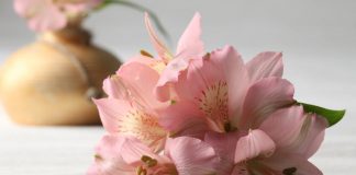 7 Ways to Make Cut Flowers Last Longer