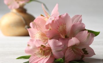 7 Ways to Make Cut Flowers Last Longer