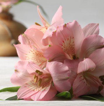 7 Ways to Make Cut Flowers Last Longer