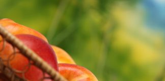 6 Best Snacks Making You Lose Weight