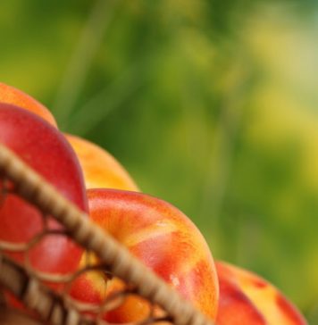 6 Best Snacks Making You Lose Weight